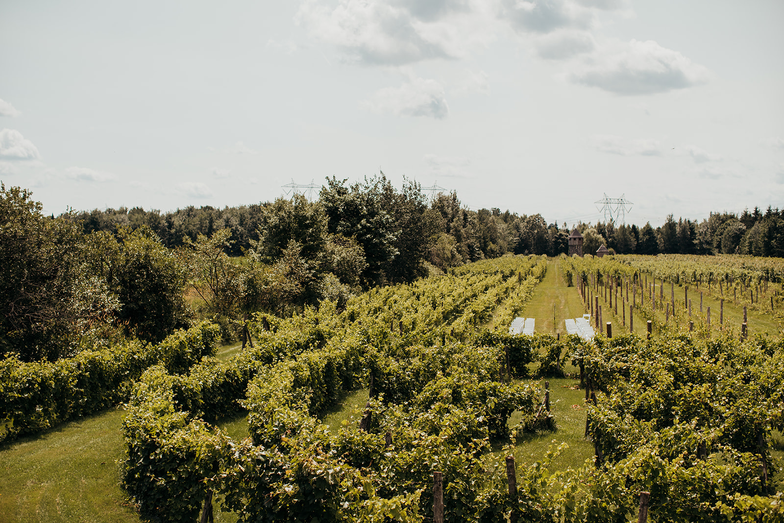 ceremonie-mariage-chaises-blanches-vignoble